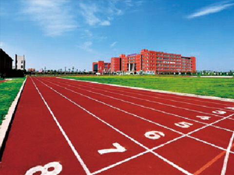 透⽓型塑胶跑道